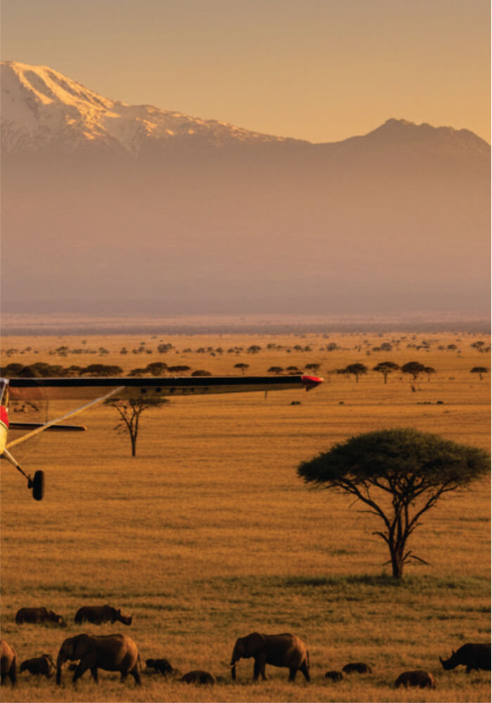 Scenic view of a savannah with elephants, a plane, and mountains at sunset.
