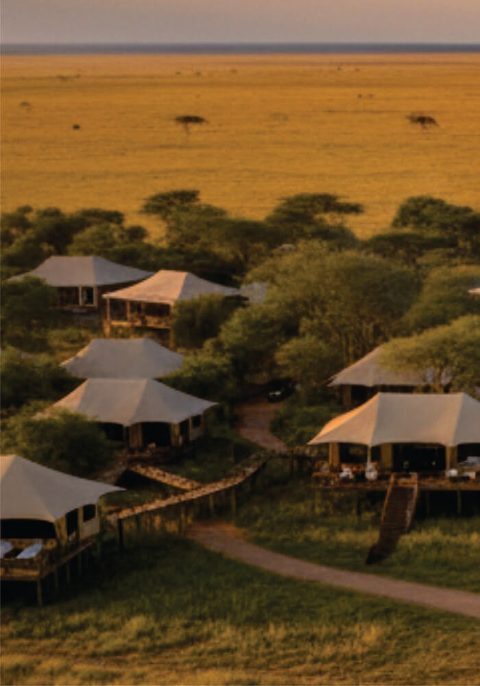 Tented accommodations in a safari setting with a vast landscape in the background.