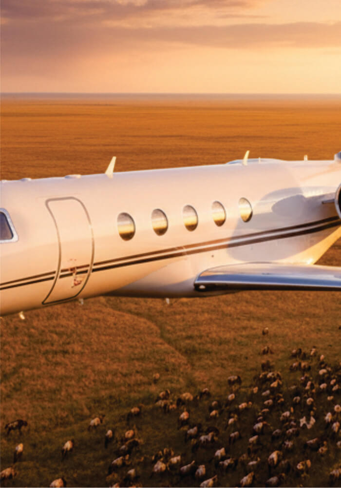 Private jet on a grassy field with animals in the foreground and a sunset sky.