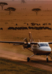 Small airplane on a dirt airstrip with a herd of animals in the savannah