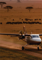 Small airplane on a dirt airstrip with a herd of animals in the savannah