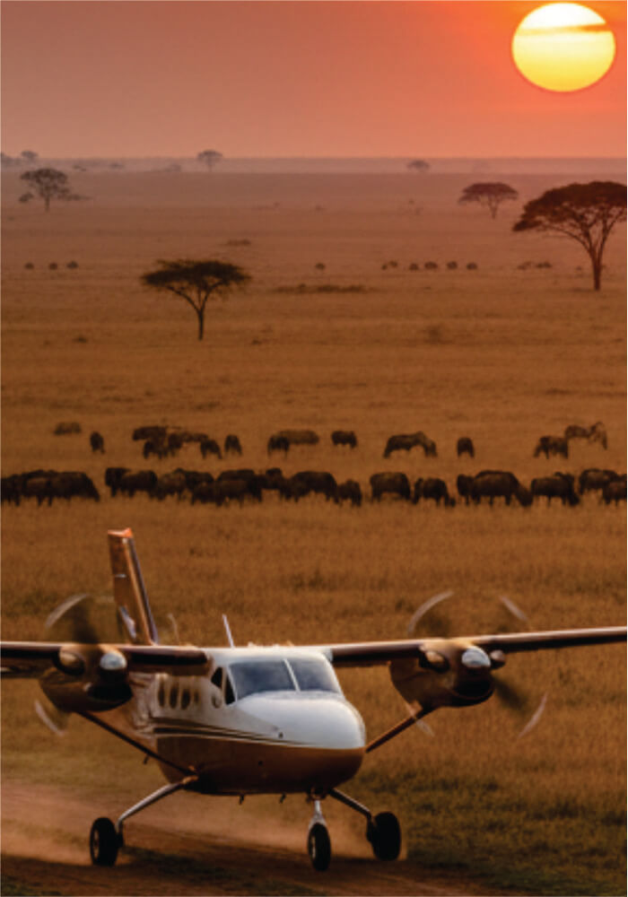 Small airplane on a dirt airstrip with a sunset over an open field and animals in the distance.