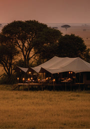 Tented camp in a savannah landscape during sunset