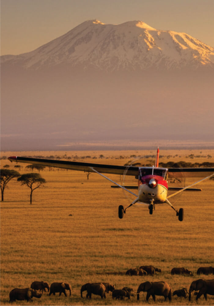 Small airplane flying over a savanna with elephants and a mountain in the background