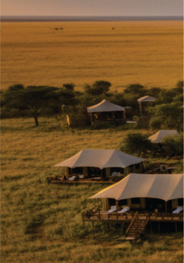 Tented accommodations in a grassy savanna landscape during sunset.