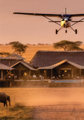 Small airplane landing at a safari lodge with elephants and scenic landscape
