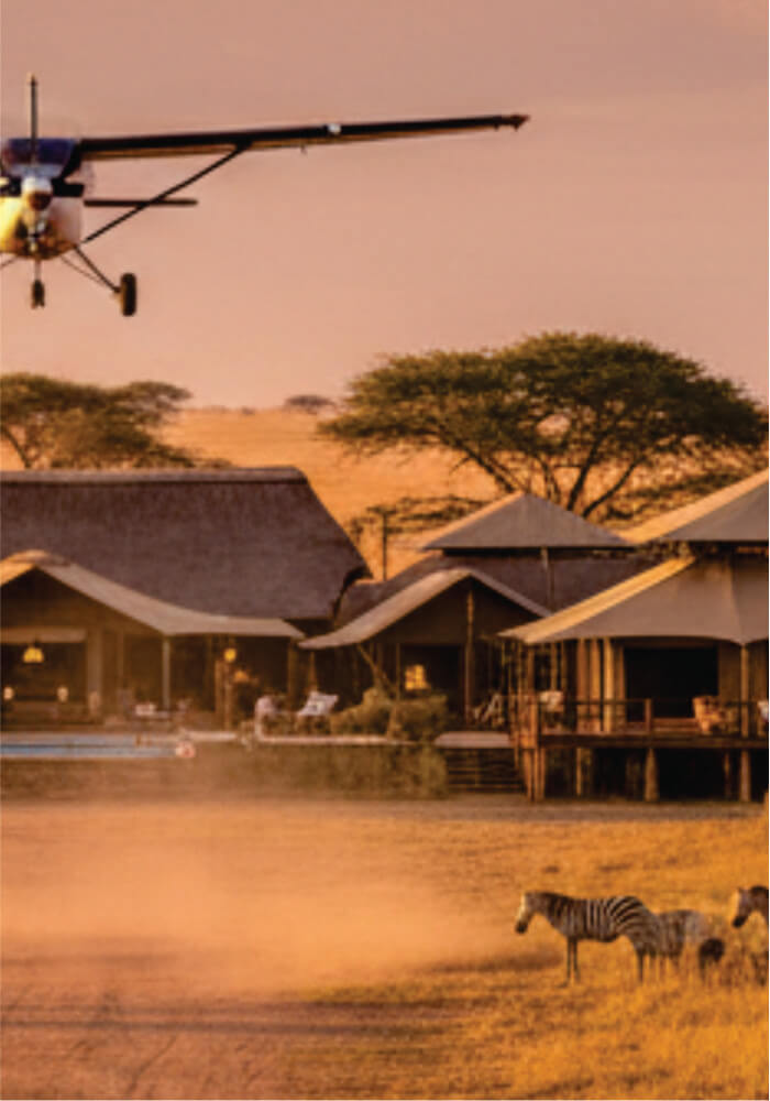 small plane flying over safari lodges with zebras in the foreground