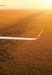 Aerial view of a large airplane flying over a field with animals at sunset.