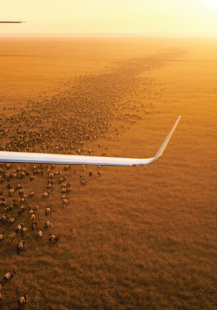 Aerial view of a large airplane flying over a field with animals at sunset.