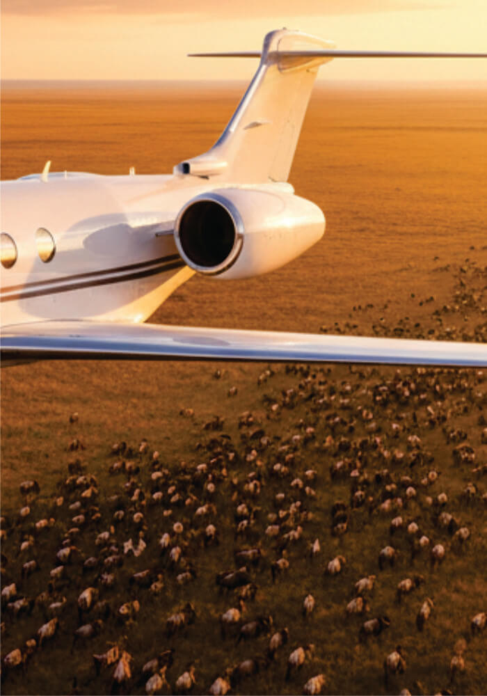 Private jet flying over a landscape with animals