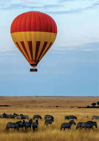 A hot air balloon flight above with views of herd of zebras on budget luxury balloon safari in Masai Mara